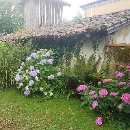 Gite Matilon, 5 Min Eugenie Les Bains Buanes Ngoại thất bức ảnh