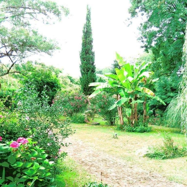 Gite Matilon, 5 Min Eugenie Les Bains Buanes Ngoại thất bức ảnh